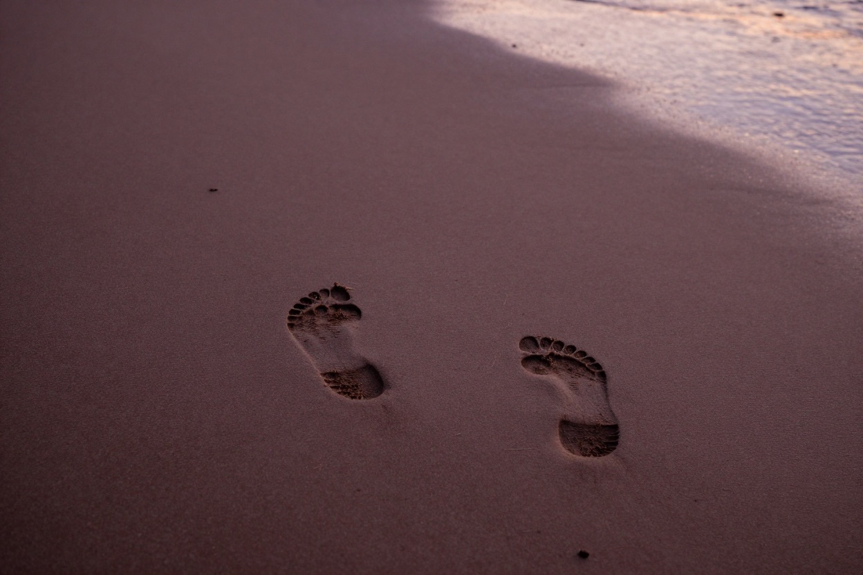 Footprints in wet sand at the water's edge